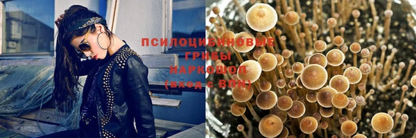 гидра Алзамай