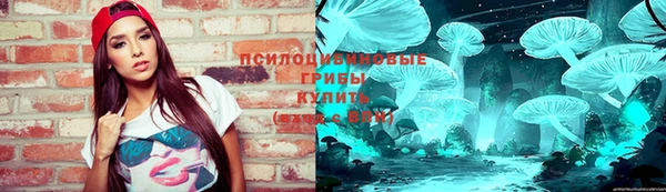 ешки Абинск