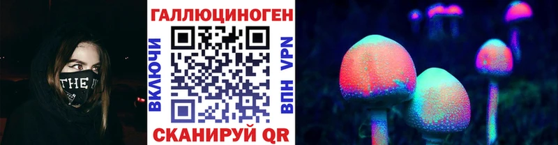 наркота  Энем  Псилоцибиновые грибы Cubensis 