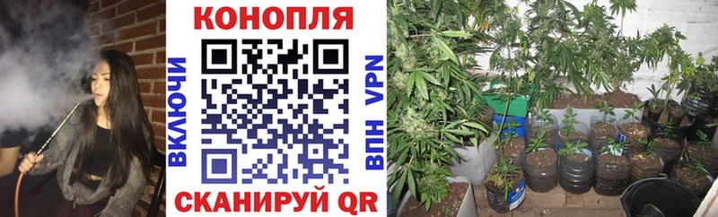 Каннабис индика  закладка  Энем 